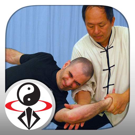 Tai Chi Martial Applications 1.0.4