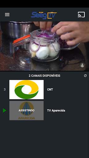 Seeg TV screenshot 2