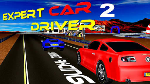 Expert Car Driver 2 скриншот 5