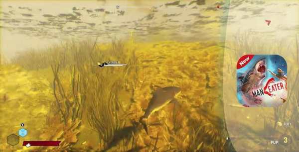 Shark Maneater Walkthrough of 2020 screenshot 2