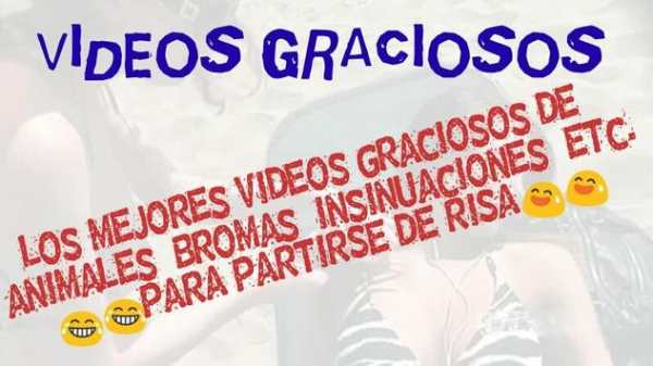 Funny videos. screenshot 2