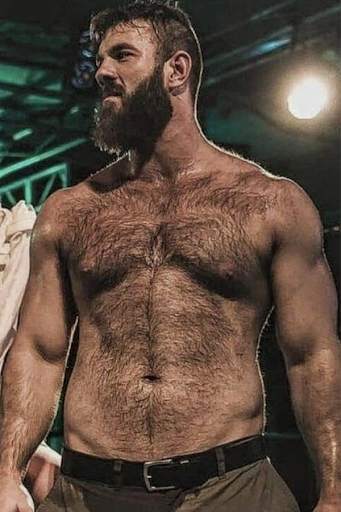 Gay Bear Wallpaper HD (LGBT Background) screenshot 2