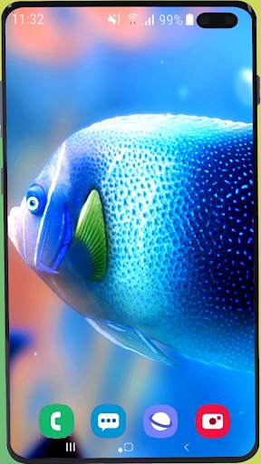 Fish Wallpaper HD screenshot 2