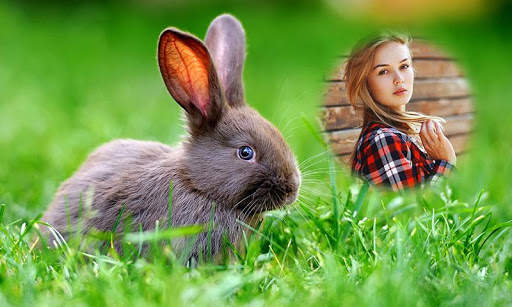 Rabbit Photo Frames screenshot 3