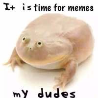 It Is Wednesday My Dudes AHHHHHHHH