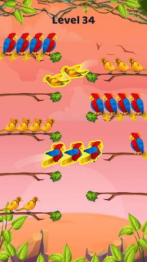 Bird color sort - Match puzzle screenshot 4