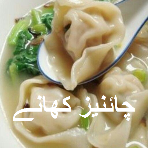 Chinese Recipes in Urdu icon