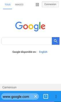 data browser screenshot 5