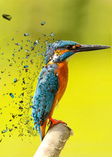 Pixel Effects Photo Mixer 5 تصوير الشاشة