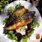 Mackerel Recipes icon