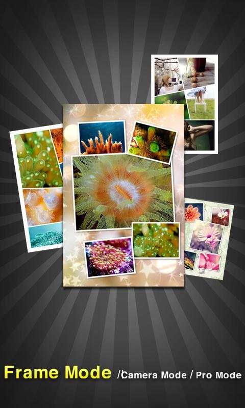 PicFrame - Photo Collage screenshot 1