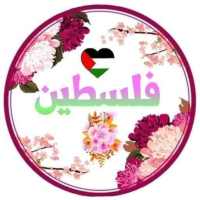 دردشة فلسطين on 9Apps