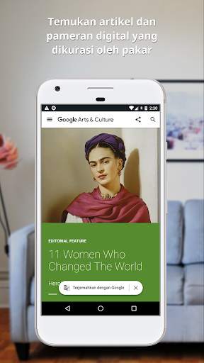 Google Arts & Culture screenshot 7