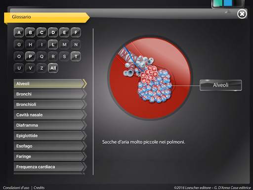 APPunti di anatomia-Lite screenshot 8