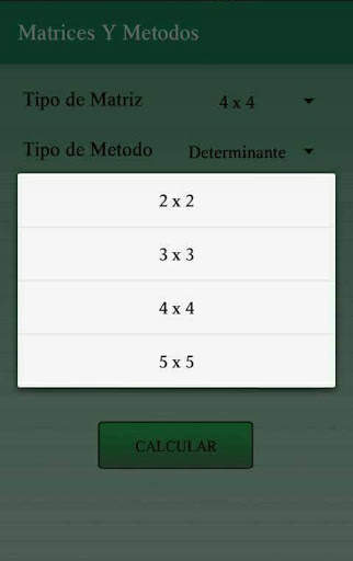 Matrices y  Metodos скриншот 1