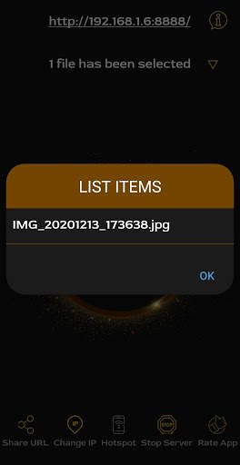WiFi File Transfer screenshot 4