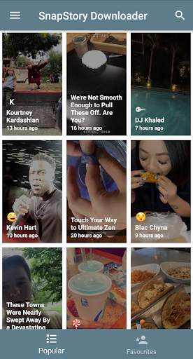 SnapStory Downloader screenshot 1