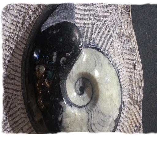 Yin Yang Photo Frames icon