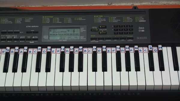 Piano Notes-Hindi,Tamil,Telugu screenshot 2