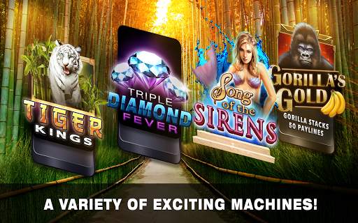 Slots Tiger King Casino Slots screenshot 13