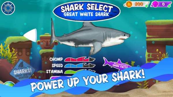 Shark Week: Shark Strike screenshot 2