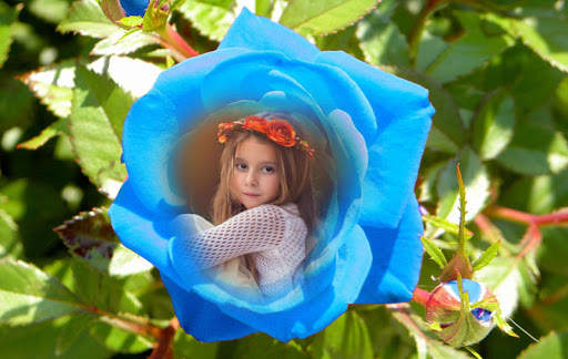 Rose Photo Frames screenshot 3