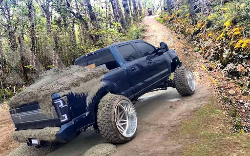 Offroad Pickup Truck Driving screenshot 3