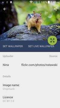 Funny Live Wallpapers screenshot 4