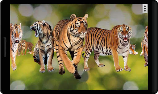 4D Tigers of Durga Live Wallpaper screenshot 7