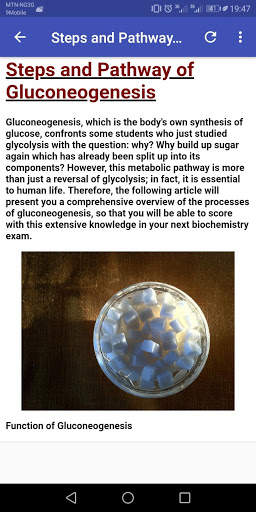 Medical Biochemistry screenshot 8