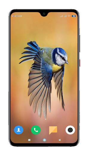Bird Wallpaper 4K screenshot 7
