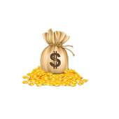 Online Earning