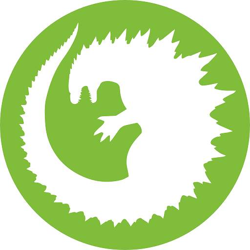 Godzilla VPN 3.0