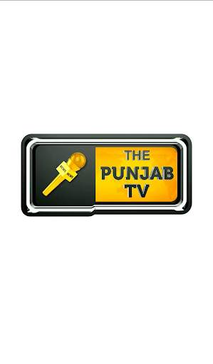 The Punjab TV screenshot 1