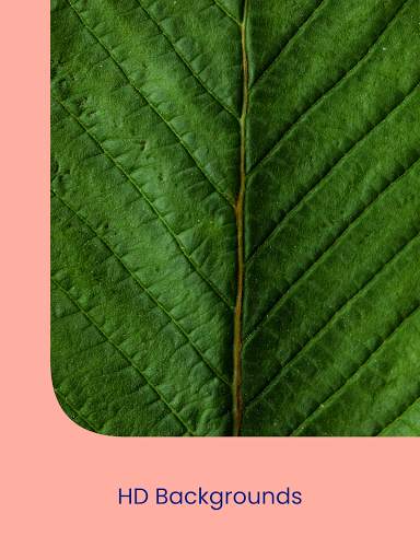 Wallpapers: Wallpaper Changer screenshot 14