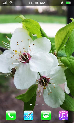 Spring Flowers Live Wallpaper screenshot 2