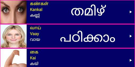Learn Tamil From Malayalam 1 تصوير الشاشة