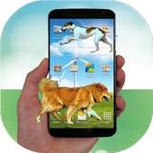 Dog in phone funny joke 1.2