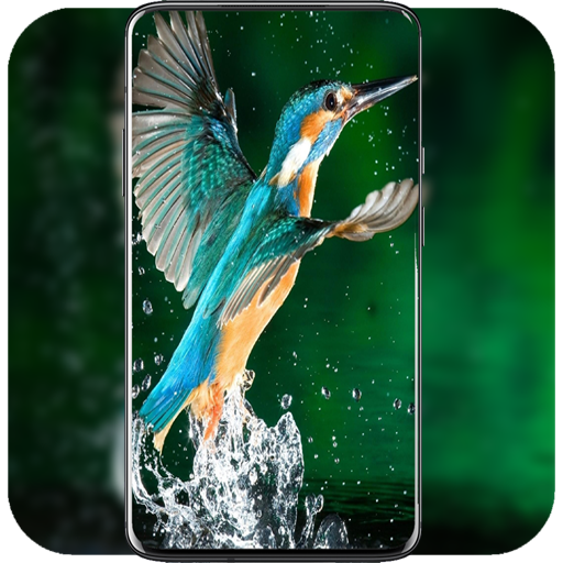 Bird Wallpaper icon