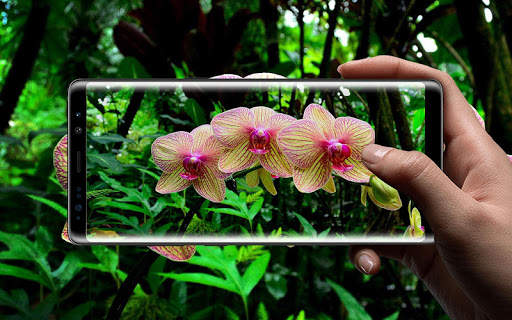 Orchids 3D Free Live Wallpaper screenshot 12