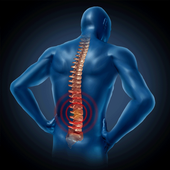 Lower Back Exercises at home icon