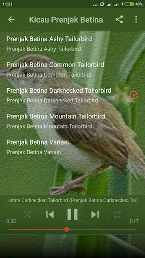 Suara Burung Prenjak Betina Pikat screenshot 3
