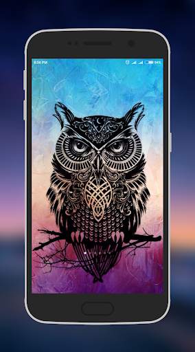 Owl Wallpapers 5 تصوير الشاشة