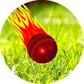 Cricket Highlights
