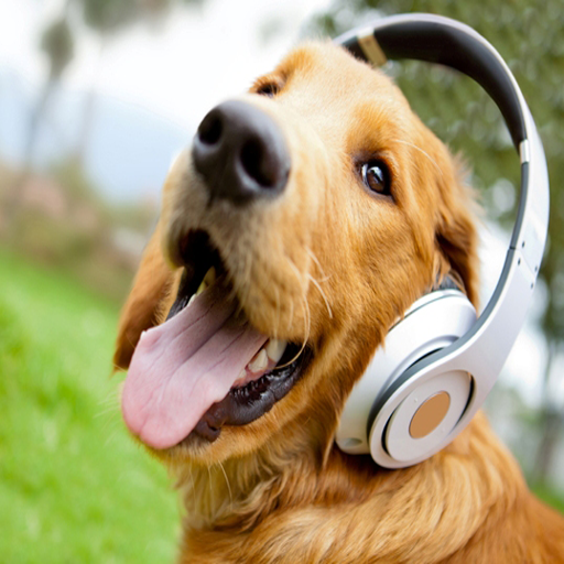Animal Sounds icon