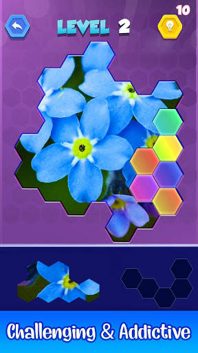 Jigsaw Hexa Puzzle - Block Hexa Puzzle Game screenshot 2