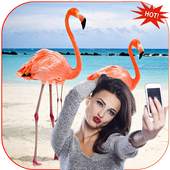 Flamingo Photo Editor 2.0