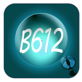 Youcam B612  selfie icon