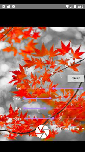 Simple Filter Camera screenshot 2