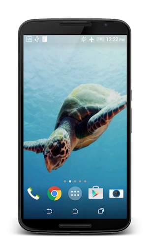 Turtle 3D Live Wallpaper screenshot 2